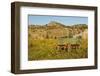 USA, South Dakota, Wild Horse Sanctuary. Scenic with Vintage Wagon-Cathy & Gordon Illg-Framed Photographic Print