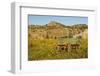 USA, South Dakota, Wild Horse Sanctuary. Scenic with Vintage Wagon-Cathy & Gordon Illg-Framed Photographic Print