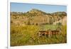 USA, South Dakota, Wild Horse Sanctuary. Scenic with Vintage Wagon-Cathy & Gordon Illg-Framed Photographic Print