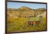 USA, South Dakota, Wild Horse Sanctuary. Scenic with Vintage Wagon-Cathy & Gordon Illg-Framed Photographic Print