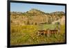 USA, South Dakota, Wild Horse Sanctuary. Scenic with Vintage Wagon-Cathy & Gordon Illg-Framed Photographic Print