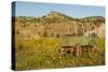 USA, South Dakota, Wild Horse Sanctuary. Scenic with Vintage Wagon-Cathy & Gordon Illg-Stretched Canvas