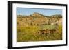 USA, South Dakota, Wild Horse Sanctuary. Scenic with Vintage Wagon-Cathy & Gordon Illg-Framed Photographic Print