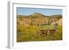 USA, South Dakota, Wild Horse Sanctuary. Scenic with Vintage Wagon-Cathy & Gordon Illg-Framed Photographic Print
