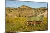 USA, South Dakota, Wild Horse Sanctuary. Scenic with Vintage Wagon-Cathy & Gordon Illg-Mounted Photographic Print