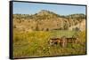USA, South Dakota, Wild Horse Sanctuary. Scenic with Vintage Wagon-Cathy & Gordon Illg-Framed Stretched Canvas