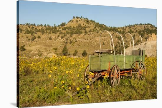 USA, South Dakota, Wild Horse Sanctuary. Scenic with Vintage Wagon-Cathy & Gordon Illg-Stretched Canvas