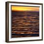 USA, Southeast Alaska, Ketchik-Savanah Plank-Framed Photo