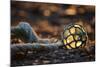 USA, Southeast Alaska Near Ketchikan, Japanese Glass Fishing Float-Savanah Stewart-Mounted Photographic Print