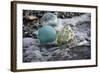 USA, Southeast Alaska Near Ketchikan, Japanese Glass Fishing Float-Savanah Stewart-Framed Photographic Print