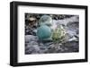 USA, Southeast Alaska Near Ketchikan, Japanese Glass Fishing Float-Savanah Stewart-Framed Photographic Print