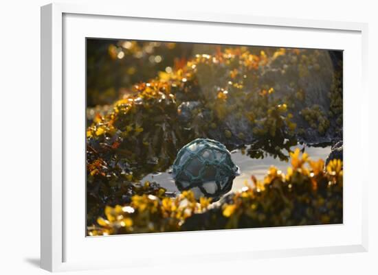 USA, Southeast Alaska Near Ketchikan, Japanese Glass Fishing Float-Savanah Stewart-Framed Photographic Print