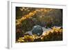 USA, Southeast Alaska Near Ketchikan, Japanese Glass Fishing Float-Savanah Stewart-Framed Photographic Print