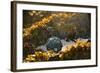 USA, Southeast Alaska Near Ketchikan, Japanese Glass Fishing Float-Savanah Stewart-Framed Photographic Print