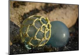 USA, Southeast Alaska Near Ketchikan, Japanese Glass Fishing Float-Savanah Stewart-Mounted Photographic Print