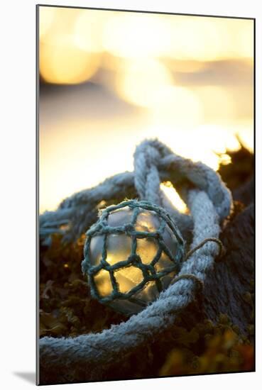 USA, Southeast Alaska Near Ketchikan, Japanese Glass Fishing Float-Savanah Stewart-Mounted Photographic Print