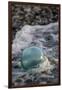 USA, Southeast Alaska Near Ketchikan, Japanese Glass Fishing Float-Savanah Stewart-Framed Premium Photographic Print