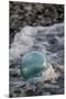 USA, Southeast Alaska Near Ketchikan, Japanese Glass Fishing Float-Savanah Stewart-Mounted Premium Photographic Print