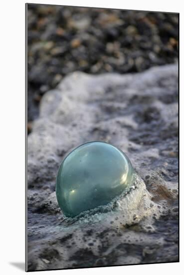 USA, Southeast Alaska Near Ketchikan, Japanese Glass Fishing Float-Savanah Stewart-Mounted Photographic Print