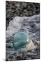USA, Southeast Alaska Near Ketchikan, Japanese Glass Fishing Float-Savanah Stewart-Mounted Photographic Print