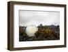 USA, Southeast Alaska Near Ketchikan, Japanese Glass Fishing Float-Savanah Stewart-Framed Photographic Print