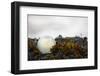 USA, Southeast Alaska Near Ketchikan, Japanese Glass Fishing Float-Savanah Stewart-Framed Photographic Print