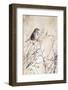 USA, Sparrow-George Theodore-Framed Photographic Print