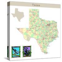 Usa States Series: Texas-IndianSummer-Stretched Canvas