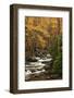 USA, Tennesse. Fall foliage along a stream in the Smoky Mountains.-Joanne Wells-Framed Photographic Print