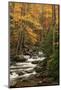 USA, Tennesse. Fall foliage along a stream in the Smoky Mountains.-Joanne Wells-Mounted Photographic Print