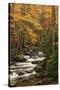 USA, Tennesse. Fall foliage along a stream in the Smoky Mountains.-Joanne Wells-Stretched Canvas
