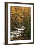 USA, Tennesse. Fall foliage along a stream in the Smoky Mountains.-Joanne Wells-Framed Photographic Print