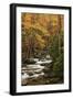 USA, Tennesse. Fall foliage along a stream in the Smoky Mountains.-Joanne Wells-Framed Photographic Print