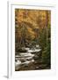 USA, Tennesse. Fall foliage along a stream in the Smoky Mountains.-Joanne Wells-Framed Photographic Print