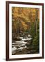 USA, Tennesse. Fall foliage along a stream in the Smoky Mountains.-Joanne Wells-Framed Photographic Print