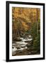 USA, Tennesse. Fall foliage along a stream in the Smoky Mountains.-Joanne Wells-Framed Photographic Print