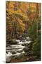USA, Tennesse. Fall foliage along a stream in the Smoky Mountains.-Joanne Wells-Mounted Photographic Print
