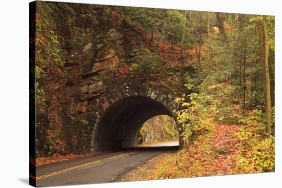 USA, Tennesse. Tunnel along the road to Cades Cove in the fall.-Joanne Wells-Stretched Canvas