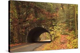 USA, Tennesse. Tunnel along the road to Cades Cove in the fall.-Joanne Wells-Stretched Canvas