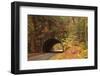 USA, Tennesse. Tunnel along the road to Cades Cove in the fall.-Joanne Wells-Framed Photographic Print