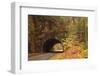 USA, Tennesse. Tunnel along the road to Cades Cove in the fall.-Joanne Wells-Framed Photographic Print