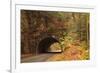 USA, Tennesse. Tunnel along the road to Cades Cove in the fall.-Joanne Wells-Framed Photographic Print