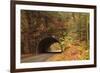 USA, Tennesse. Tunnel along the road to Cades Cove in the fall.-Joanne Wells-Framed Photographic Print