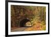 USA, Tennesse. Tunnel along the road to Cades Cove in the fall.-Joanne Wells-Framed Photographic Print