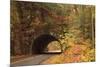 USA, Tennesse. Tunnel along the road to Cades Cove in the fall.-Joanne Wells-Mounted Photographic Print