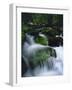 USA, Tennessee, a Moss Covered Stream in the Great Smoky Mountains-Jaynes Gallery-Framed Photographic Print