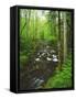 USA, Tennessee, a Moss Covered Stream in the Great Smoky Mountains-Jaynes Gallery-Framed Stretched Canvas