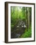 USA, Tennessee, a Moss Covered Stream in the Great Smoky Mountains-Jaynes Gallery-Framed Photographic Print