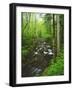 USA, Tennessee, a Moss Covered Stream in the Great Smoky Mountains-Jaynes Gallery-Framed Photographic Print