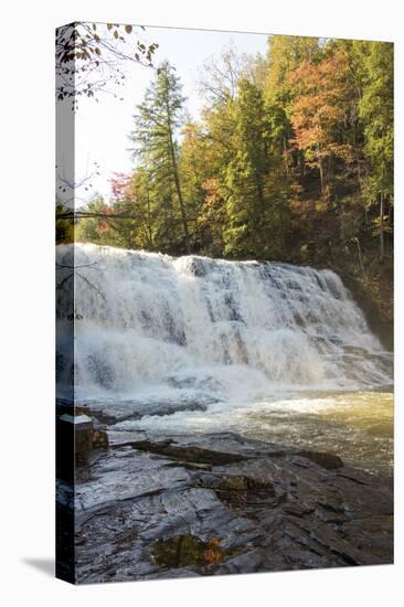 USA, Tennessee. Cane Creek Cascades in Fall Creek Falls State Park-Trish Drury-Stretched Canvas